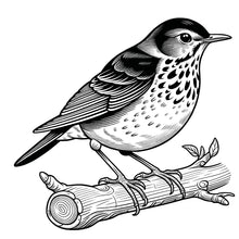 Load image into Gallery viewer, Beautiful Birds Large Print Coloring Book for Adults & Seniors