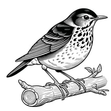 Load image into Gallery viewer, Digital Version of Beautiful Birds Large Print Coloring Book for Adults & Seniors