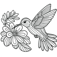 Load image into Gallery viewer, Digital Version of Beautiful Birds Large Print Coloring Book for Adults & Seniors