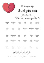 Load image into Gallery viewer, Fringed Comfort Shawl - Grey with Bonus 30 Days of Scriptures for the Grieving Soul